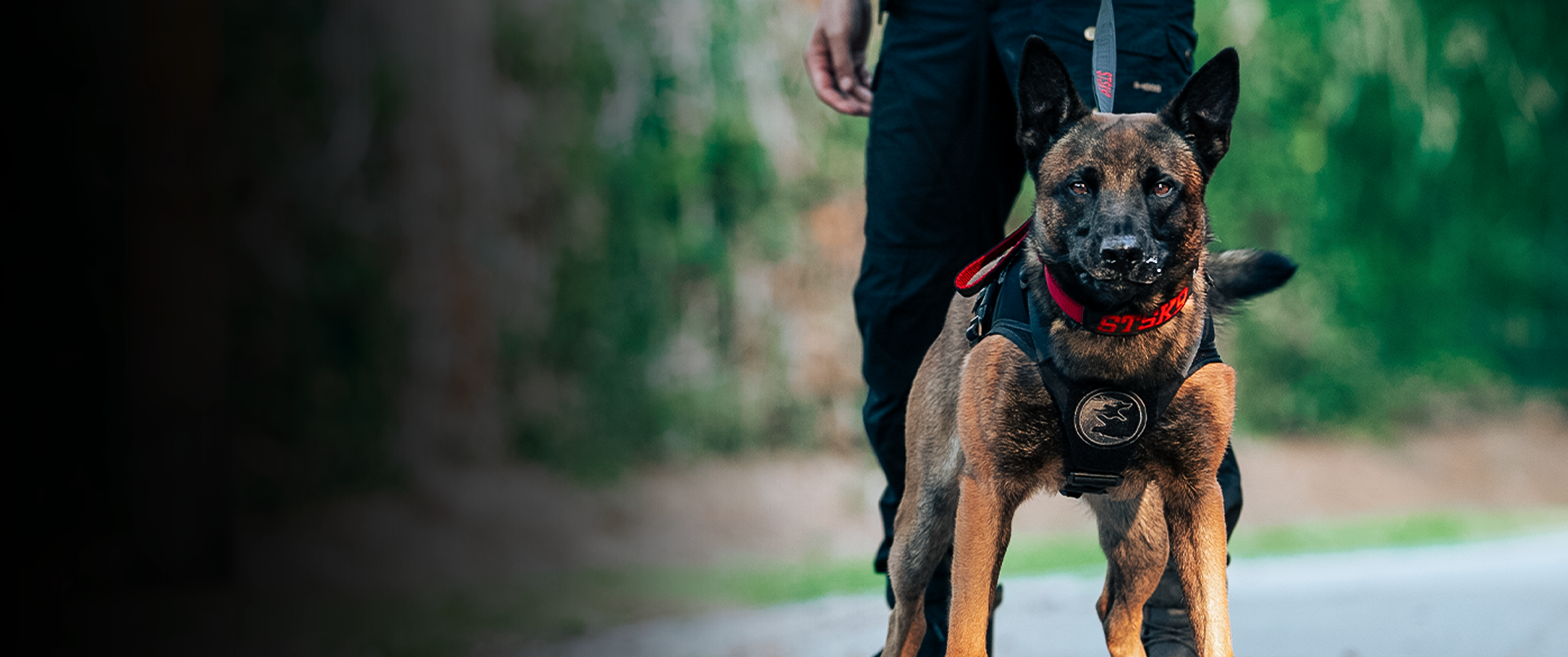 slider image slider_item_TXNm3L