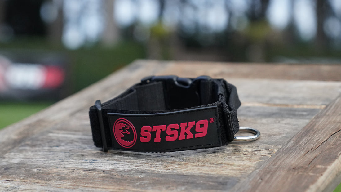 STSK9 Precision Pinch Collar – Professional-Grade Correction Tool for Strong Dogs